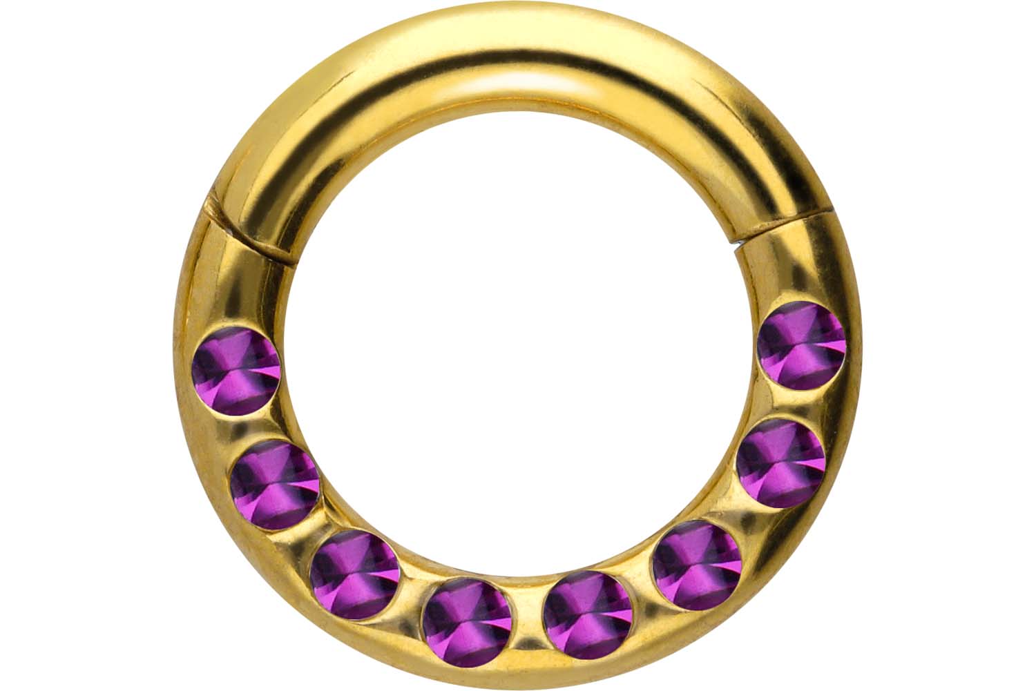 Chirurgenstahl Segmentring Clicker Piercing KRISTALLE + EPOXY ++SALE++